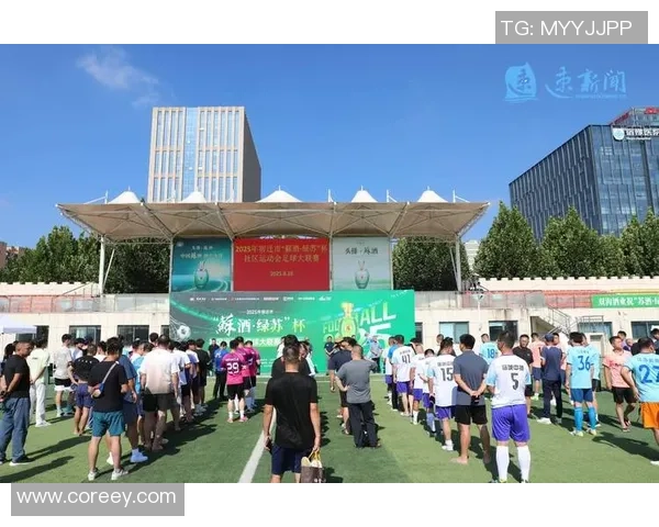 从绿茵场到政坛足球巨星转身投身公共事务的新篇章 从绿茵场到政坛足球巨星转身投身公共事务的新篇章