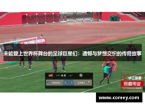 未能登上世界杯舞台的足球巨星们：遗憾与梦想交织的传奇故事